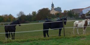 Rundwanderung Europäischer Kulturweg von Giebelstadt nach Essfeld am 28.10.2021
