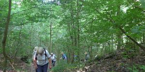 Wanderung rund ums Handthal am 20.7.2025