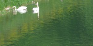 Wanderwoche am Diemelsee 3.Tag 21.5. Wanderung um den Diemelsee.