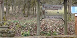 Wanderung zur Ruine Homburg in Gössenheim am 15.3.2026