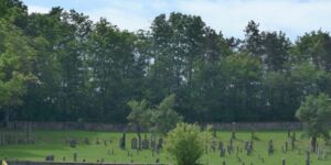 Rundwanderung Mahlholz am 09.06.2024