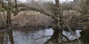 Rundwanderung von Kitzingen nach Albertshofen am 20.02.2025