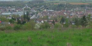 Rundwanderung im Ochsenfurter Forst am 7.4.2024