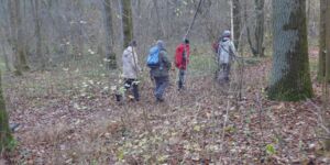 Rundwanderung von Kitzingen Golfplatz durch die Klinge Richtung Sulzfeld am 28.11.2024