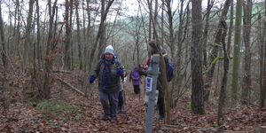 Rundwanderung um Randersacker am 12.12.2024