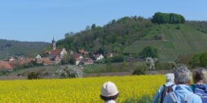 Rundwanderung zwischen Castell u. Wiesenbronn mit Weinbergstulpen am 11.4.2024