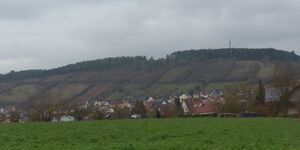 Wanderung zur Waldweihnacht in Leinach am 8.12.2024
