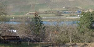 Rundwanderung Gnodstadt-Marktbreit vom 20.3.2025