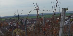 Wanderung um Rödelsee am 13.11.2025