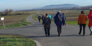 Jahresabschlusswanderung von Kitzingen nach Hoheim am 27.12.2024