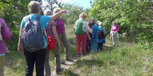 Gambach zum Edelweiß und Saupurzel am 15.5.2025