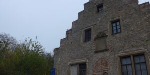 Rundwanderung von Rimpar nach Maidbronnund am 10.11.2024