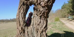 Wanderreise nach Usedom 6.Tag am 4.4.2025 Wanderung von Zinnowitz über Zempin nach Koserow