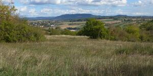 Wanderung um Sulzfeld am 24.9.2026
